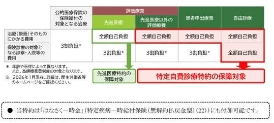がん治療における医療費の自己負担額と当特約の保障対象イメージ