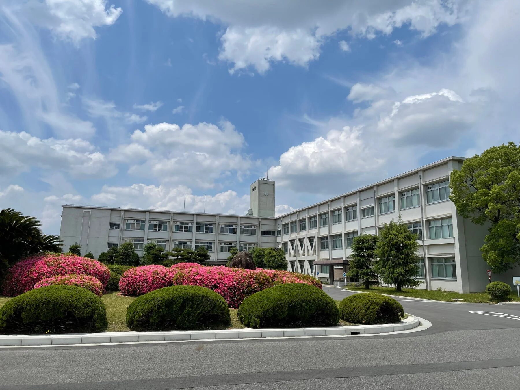 晴れた日に、満開のツツジと緑の植栽が美しい庭園の奥に建つ、時計台のある学校のような建物を捉えた風景写真です。青い空に白い雲が浮かんでいます。