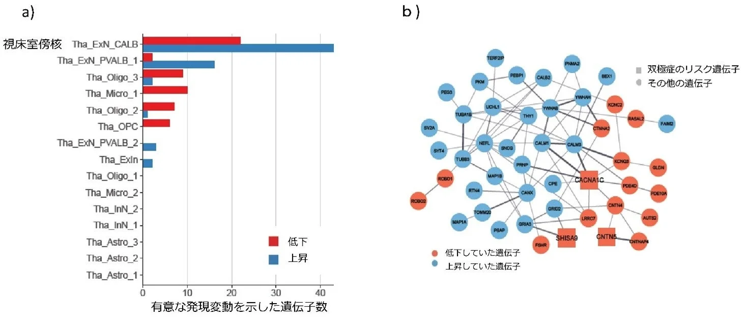 図3a 各細胞種における有意な発現変動を示した遺伝子の数