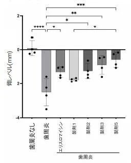 歯周炎の有無およびエリスロマイシンや各種製剤による治療が骨レベルに与える影響を比較した棒グラフ
