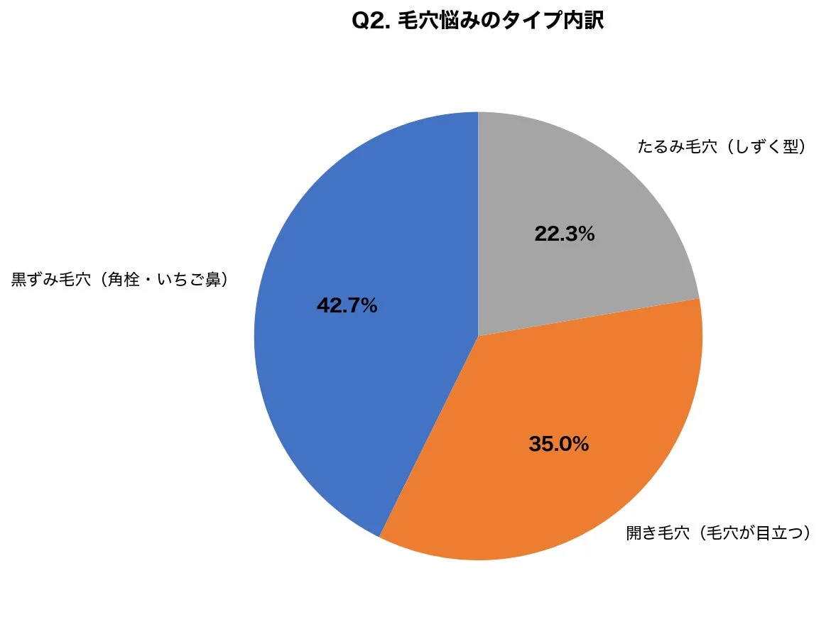Q2. 毛穴悩みのタイプ内訳