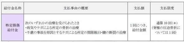 特定損傷給付金詳細