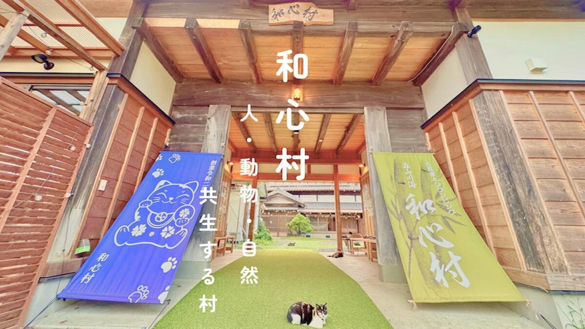 和心村の入り口と猫