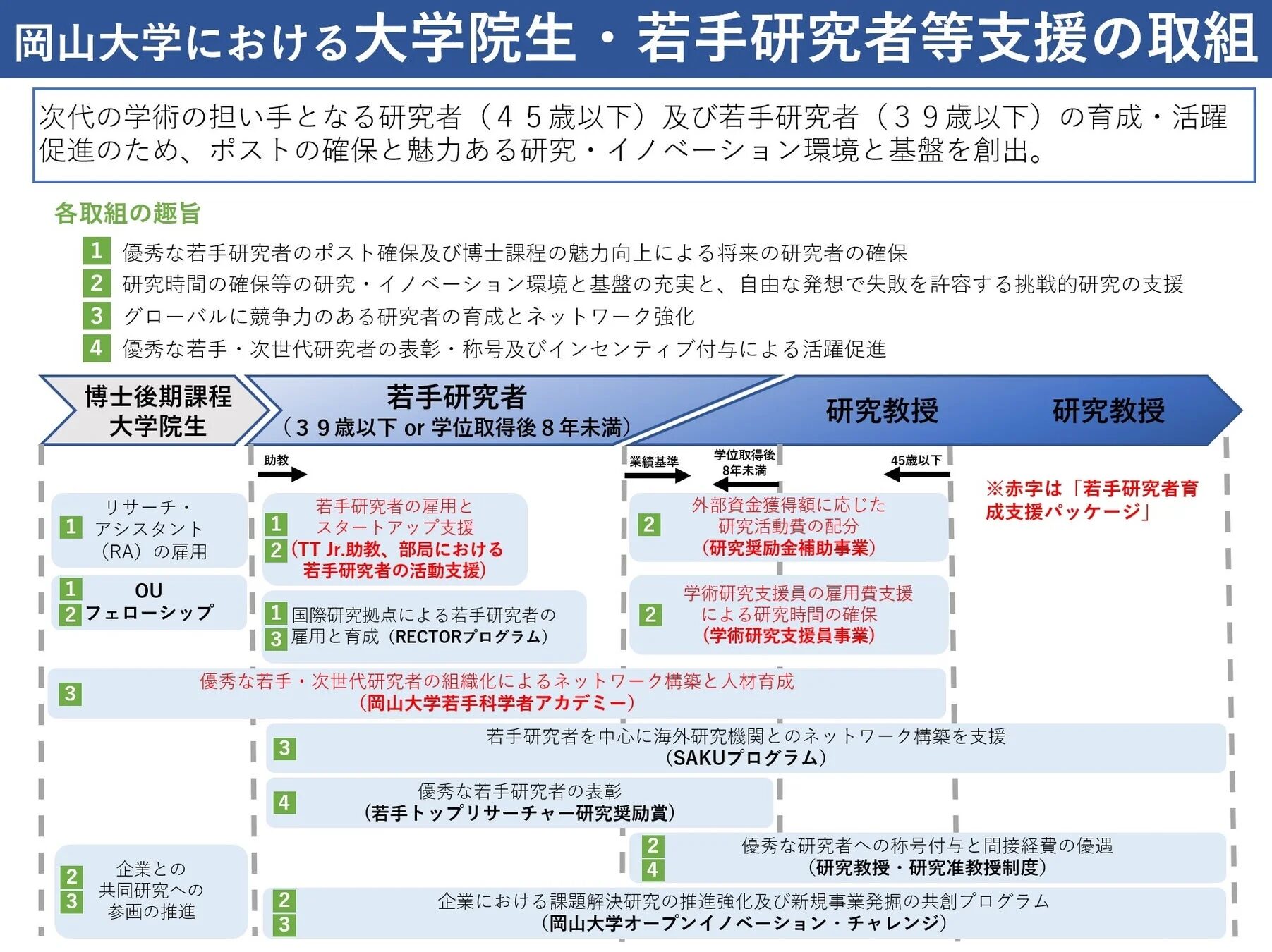 岡山大学が大学院生および若手研究者（45歳以下・39歳以下）の育成・活躍を促進するための支援策を示した資料