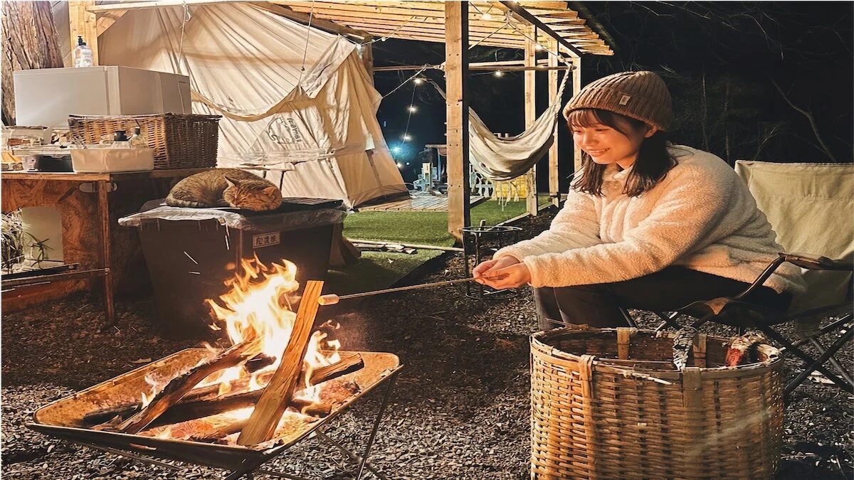 夜の焚き火を囲む女性と猫