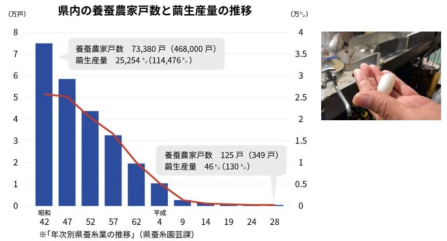 県内の養蚕農家戸数と繭生産量の推移