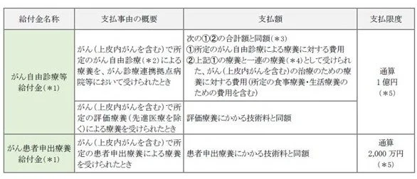 がん特定自費診療特約の給付金詳細