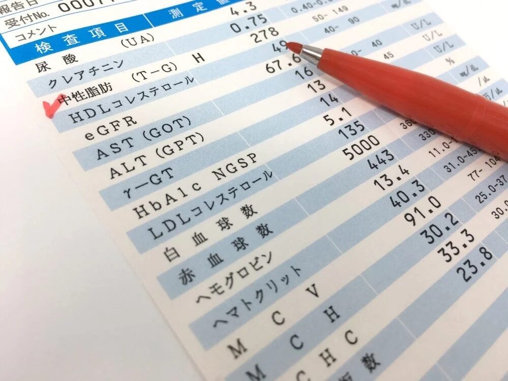 健康診断の血液検査結果用紙が写されており、尿酸、中性脂肪、コレステロール、肝機能などの項目と数値が確認できます。特に中性脂肪の項目に赤いチェックマークが付けられています。個人の健康状態を示す医療関連の書類です。