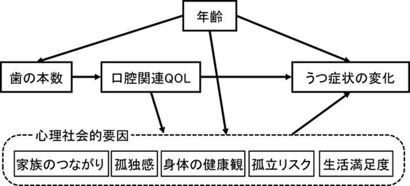 口腔の健康状態や口腔関連QOLとうつ症状の変化の概念図