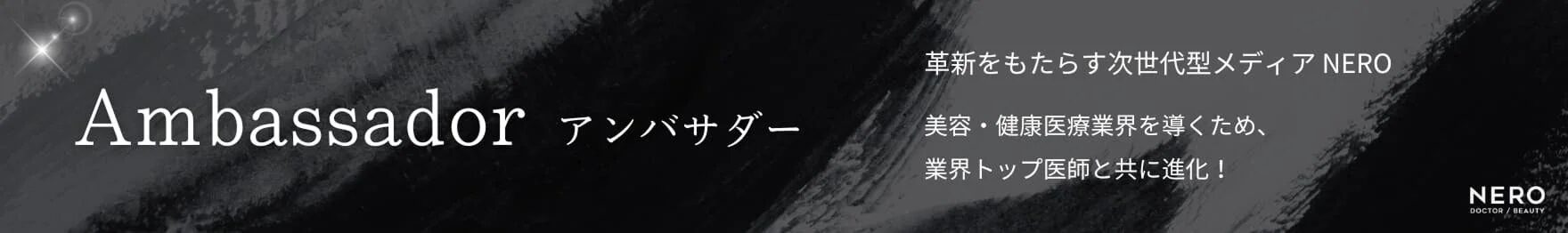 NEROアンバサダーとメディアの紹介