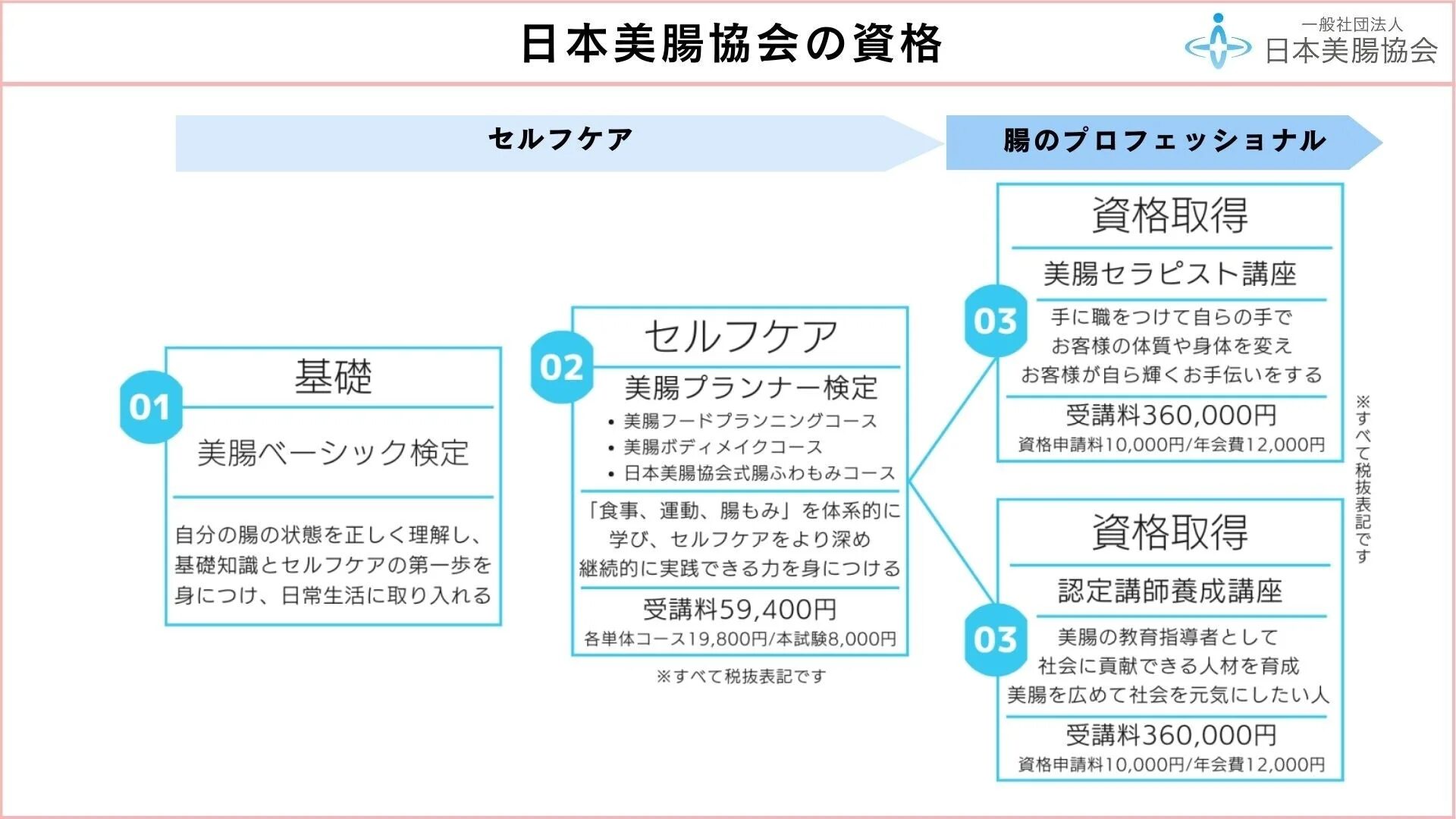 日本美腸協会の資格体系