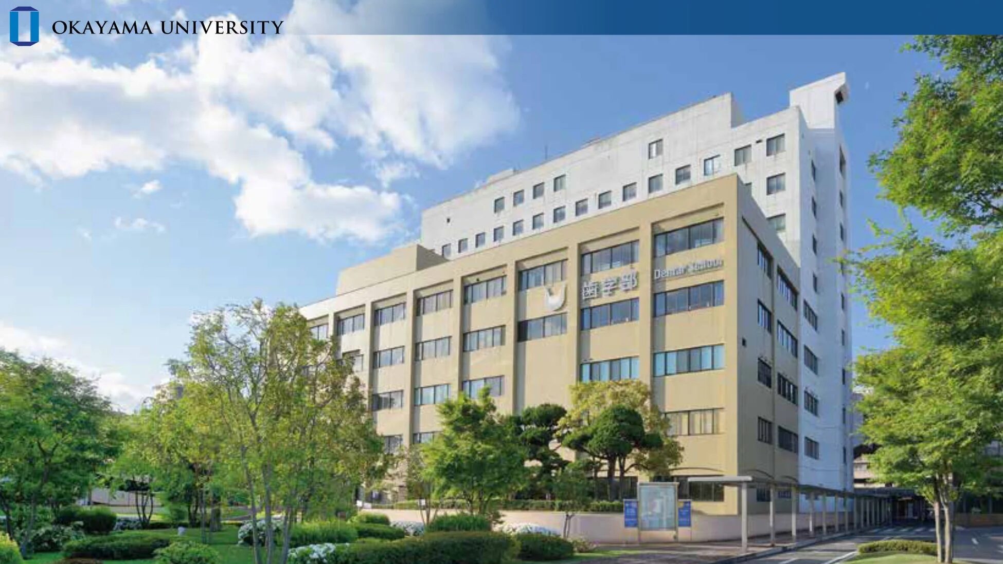 岡山大学歯学部