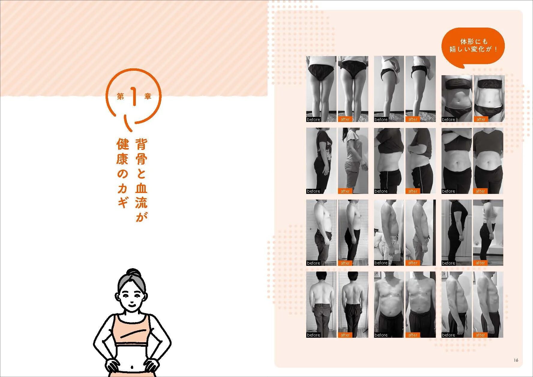 体型変化のイメージ