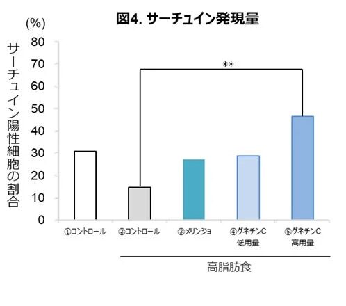 サーチュイン発現量のグラフ