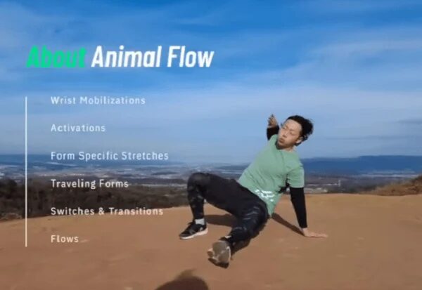 青空の下でアニマルフローの動きをする男性