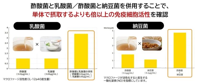 酢酸菌と乳酸菌、または酢酸菌と納豆菌を併用することで、それぞれを単体で摂取するよりも免疫細胞（マクロファージ）の活性が倍以上に高まることを示すデータです。特定の菌の組み合わせが免疫機能向上に寄与することが確認されています。