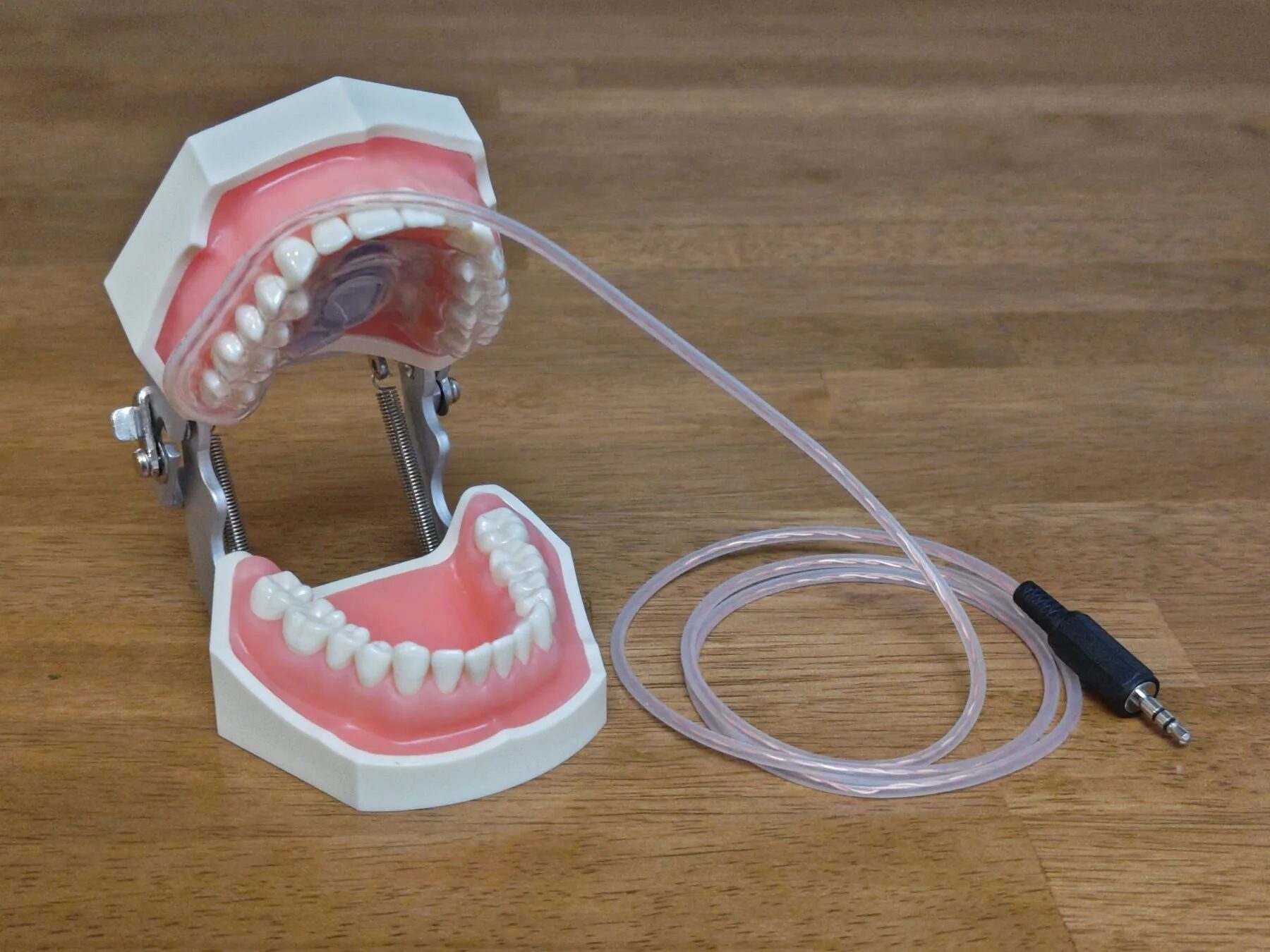 歯科模型にマウスピース