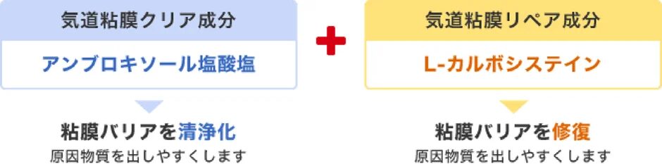 気道粘膜のWケア成分