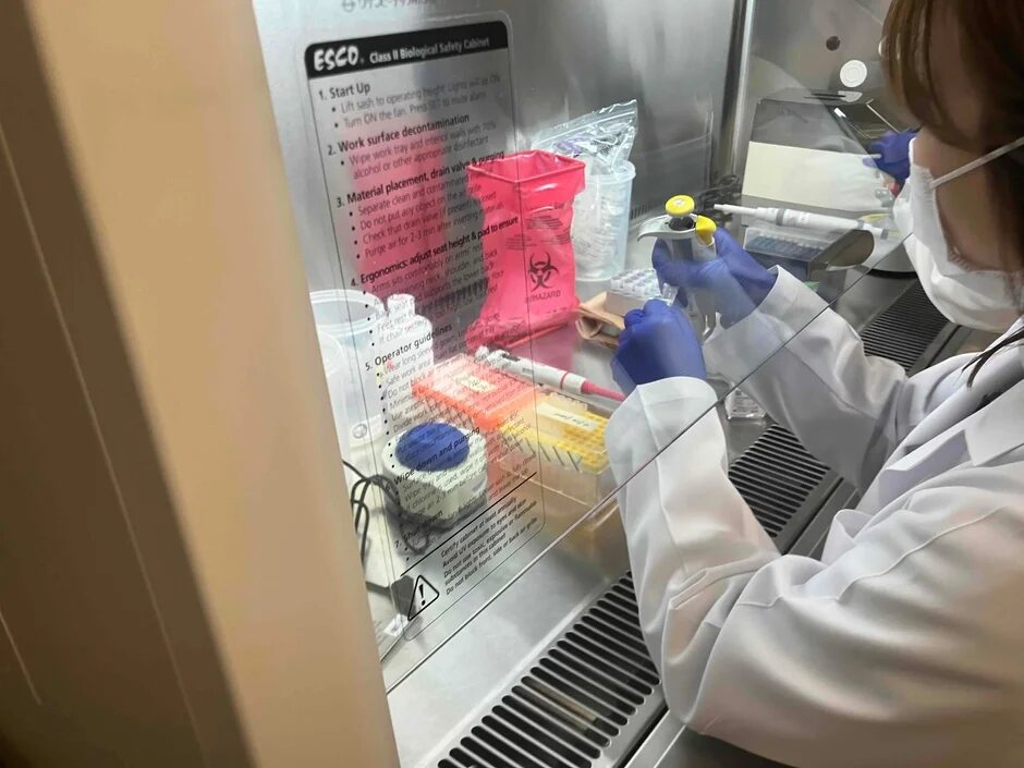 バイオセーフティキャビネット内で実験を行う研究員