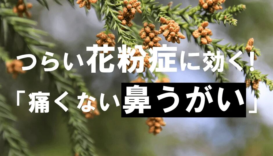 杉の枝と花粉を背景に、「つらい花粉症に効く!」「痛くない鼻うがい」というキャッチコピーが表示されています。