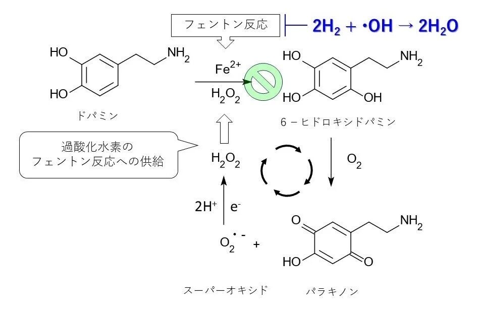 フェントン反応と水素の作用