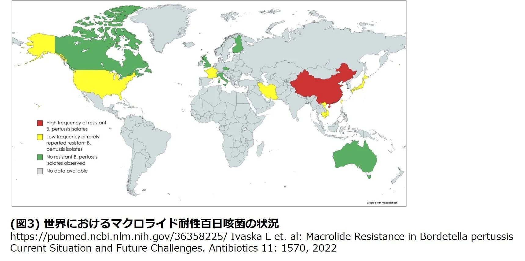 世界におけるマクロライド耐性百日咳菌の状況
