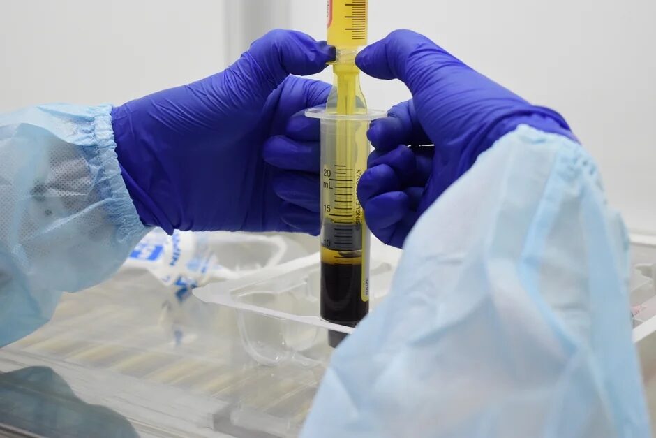 採血・サンプル準備の様子