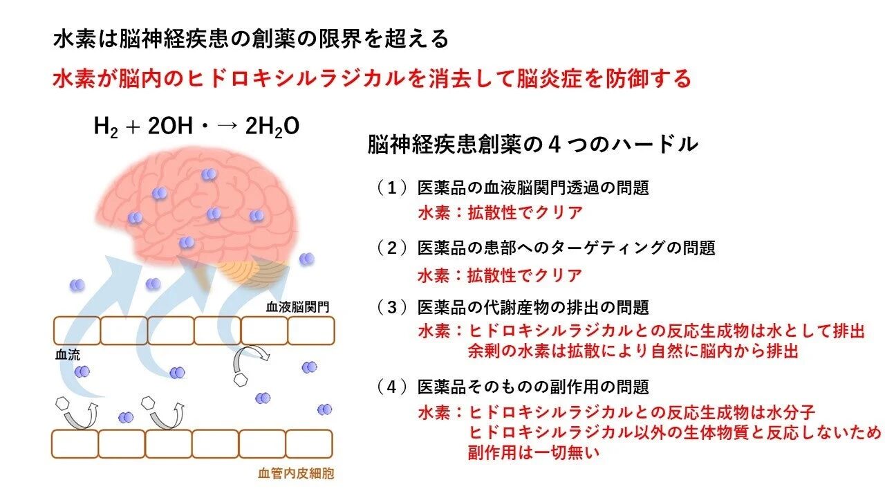 脳神経疾患創薬の4つのハードル