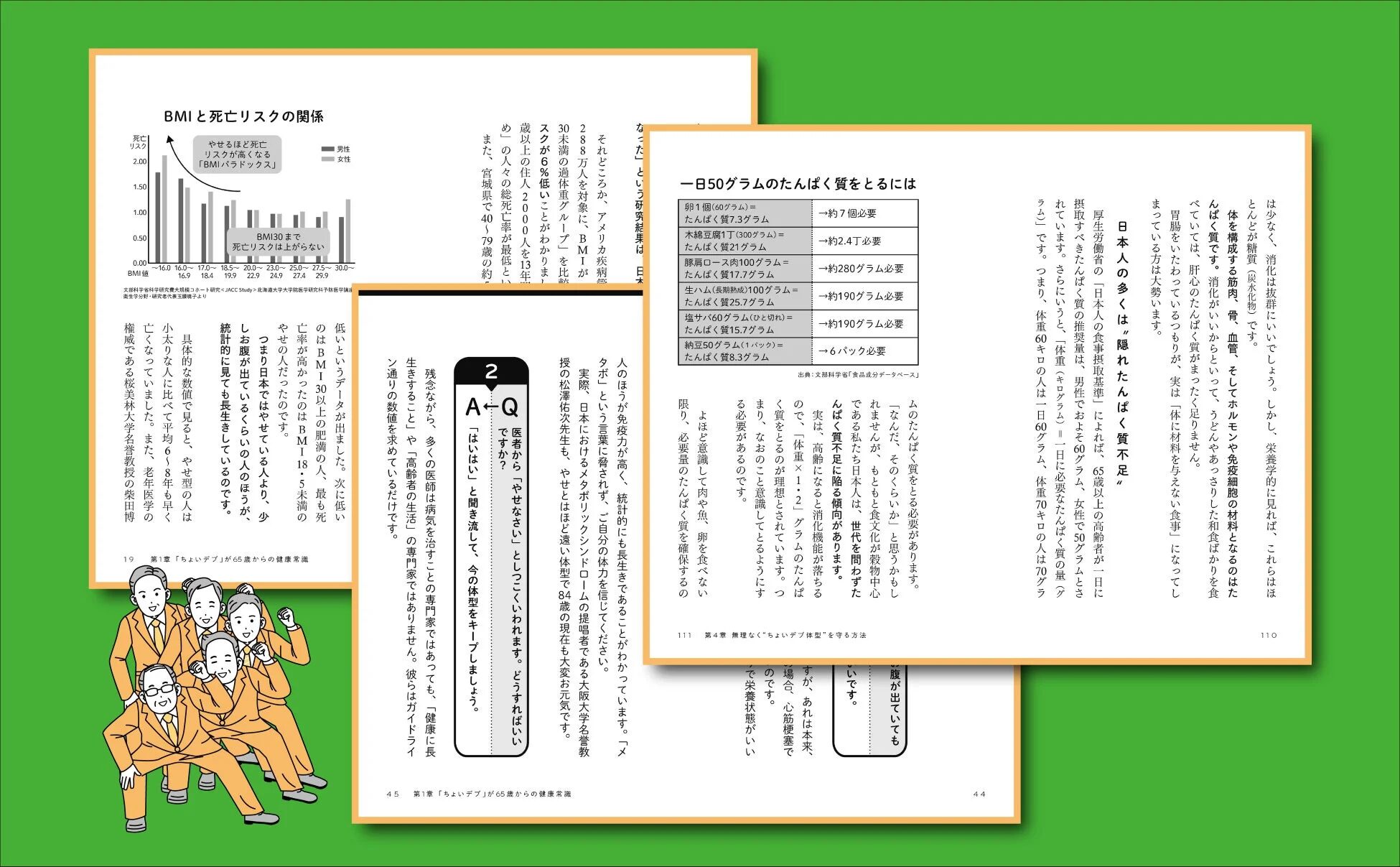 BMIとタンパク質摂取に関する内容ページ