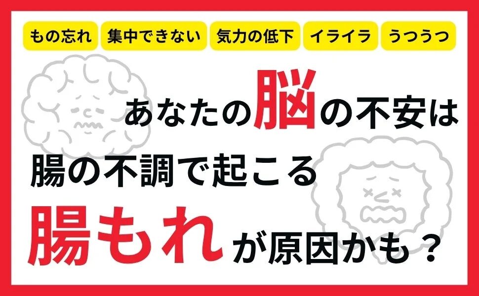 もの忘れや集中力の低下、気力の低下、イライラ、うつうつといった脳の不安が、腸の不調である「腸もれ」によって引き起こされている可能性を示唆する内容です。