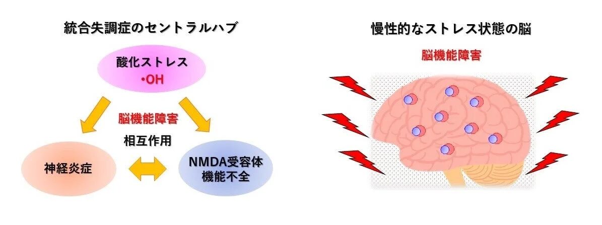 統合失調症のセントラルハブ